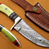 Damascus Steel Blade Bowie Knife 9 Inch