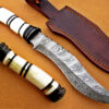 Damascus Steel Blade Bowie Knife Handle Camel Bone Overall 12 Inch