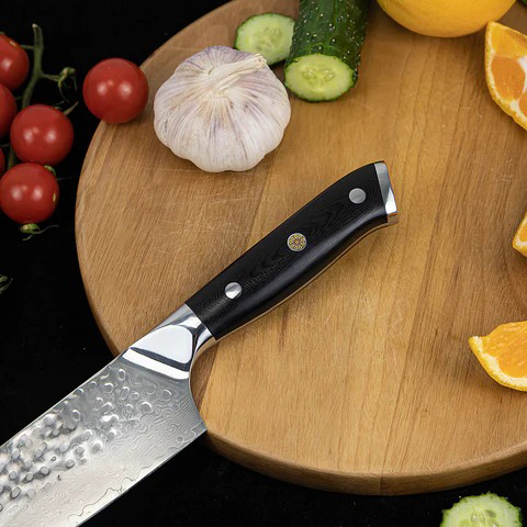 Shujin Gyuto Damascus Knife