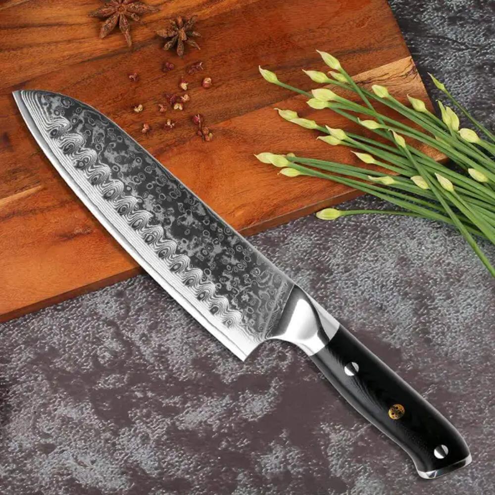 VG-10 Damascus Steel Knives, 67-Layer Damascus Chef Knife