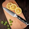 Kitchen Paring Knife, 3.5” VG10 Damascus Steel