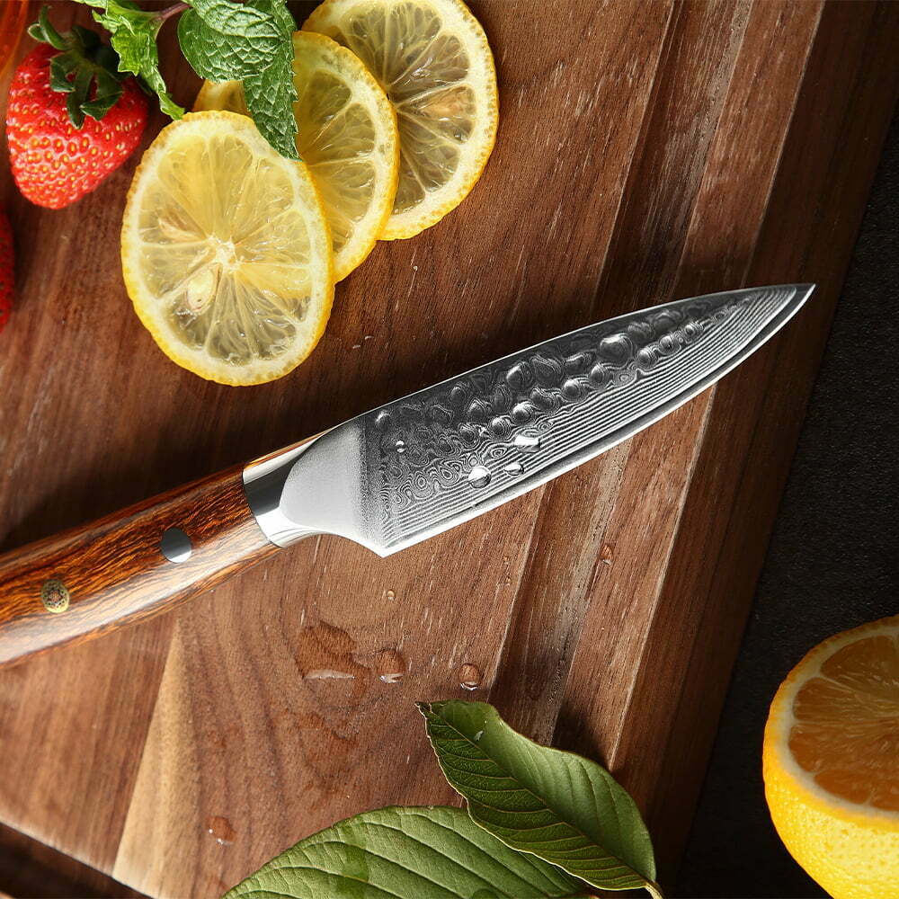 DSKK B13D Professional Kitchen Damascus Knife set with Desert Iron Wood Handle