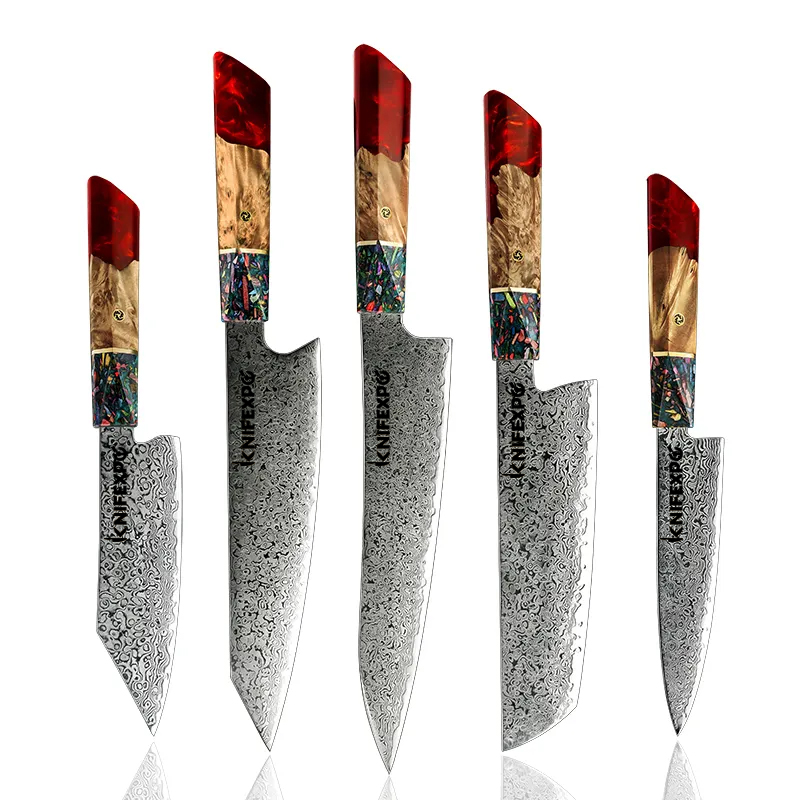 5 Pcs Knife Set 67-Layer Damascus Steel